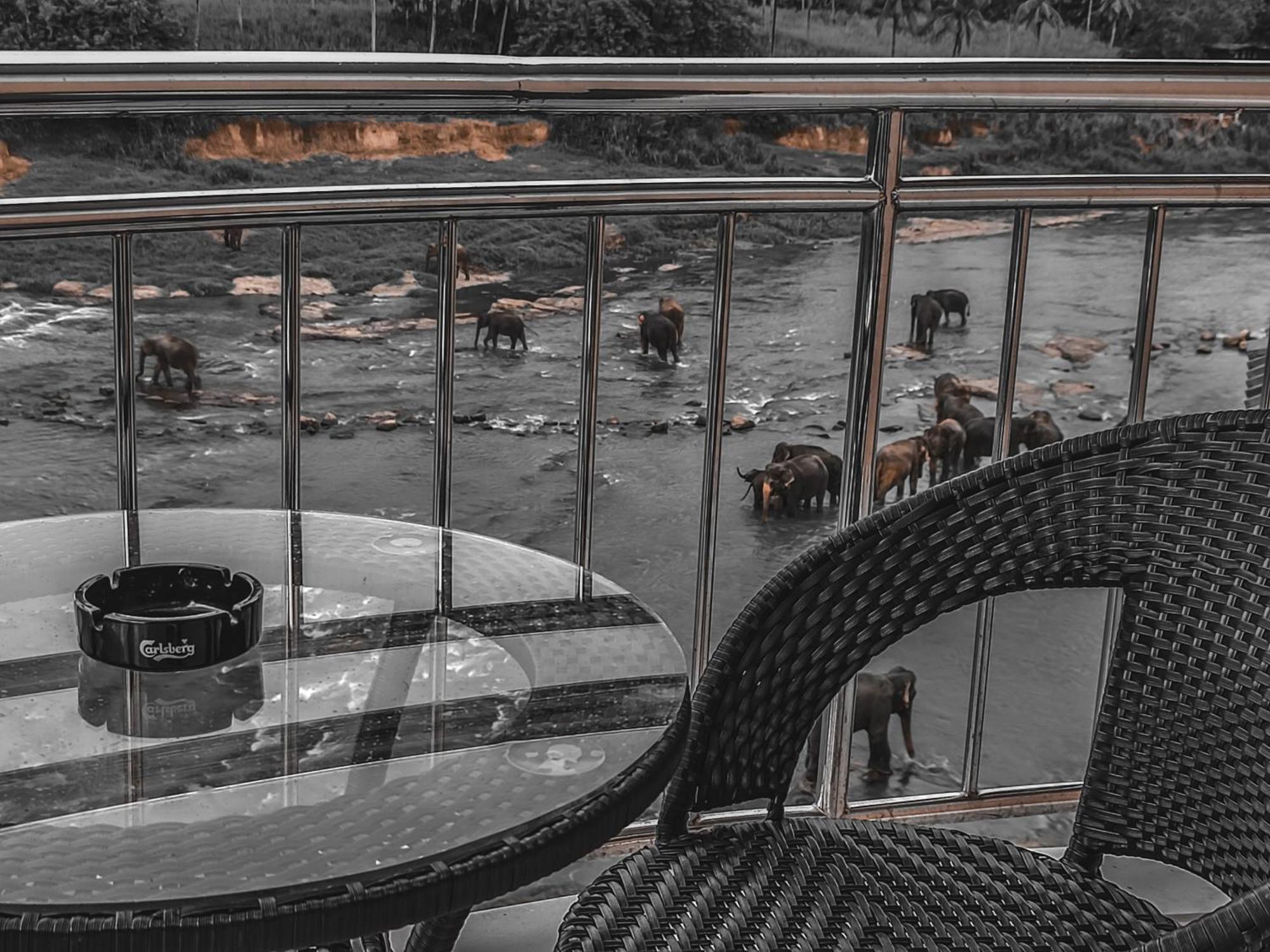 Hotel Elephant Park - New Deal! Half Off Airport Pickups Available Pinnawala  Exterior foto