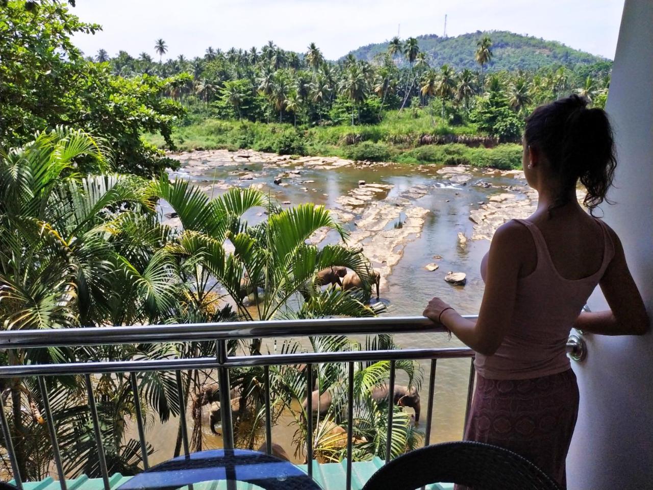 Hotel Elephant Park - New Deal! Half Off Airport Pickups Available Pinnawala  Exterior foto