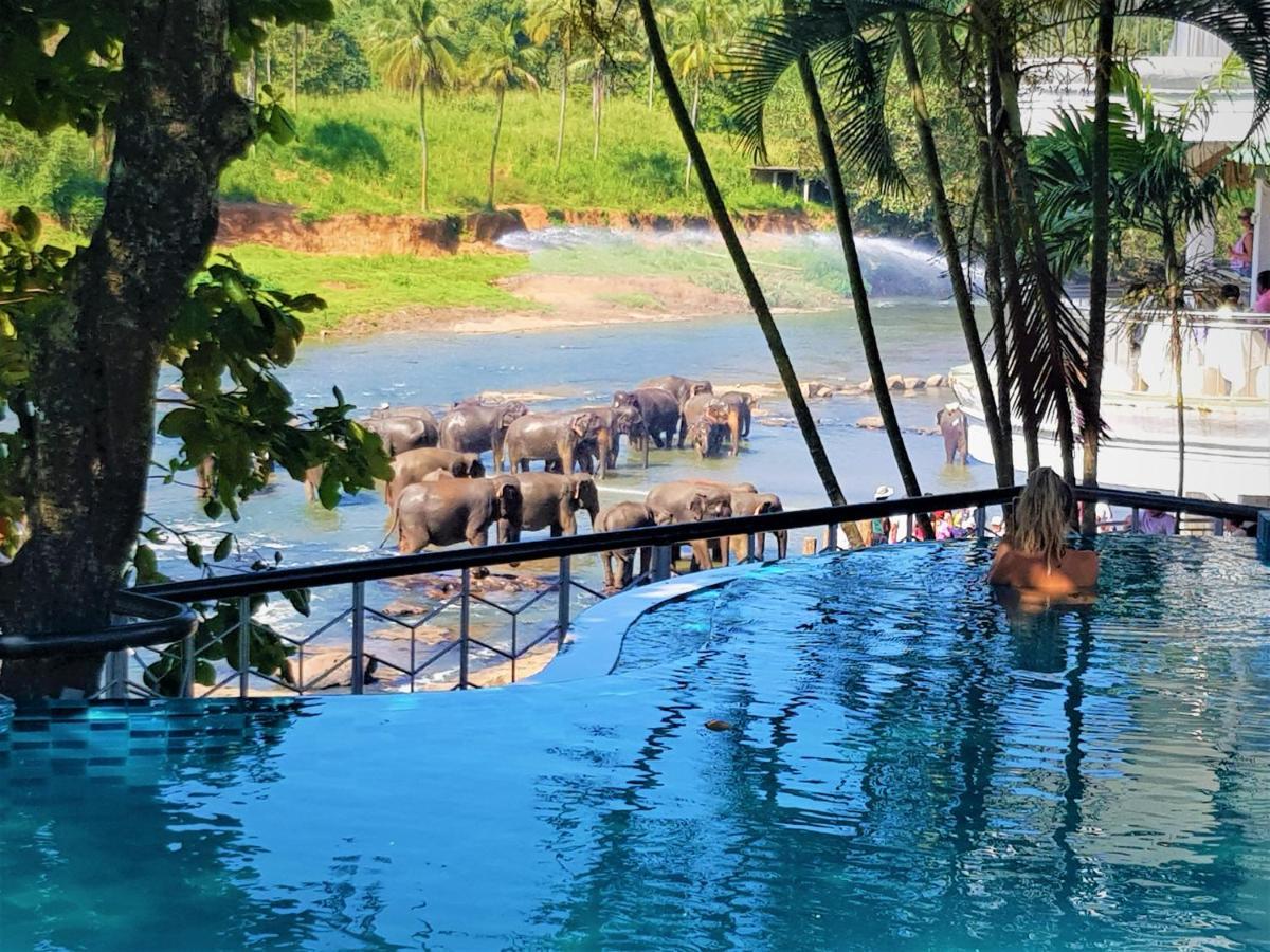 Hotel Elephant Park - New Deal! Half Off Airport Pickups Available Pinnawala  Exterior foto